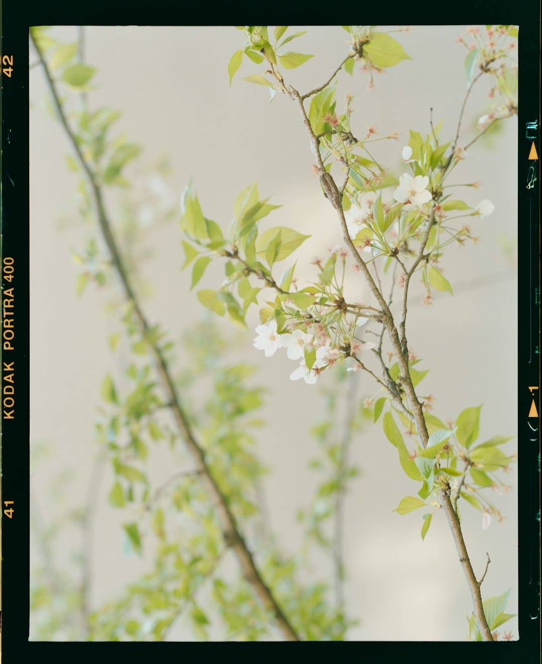 山东荣成：体会水上运动 畅享夏天清凉